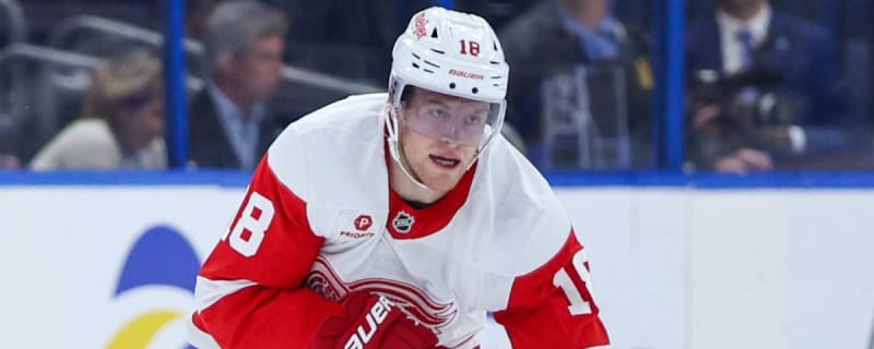 Red Wings’ Andrew Copp to miss remainder of 2024-25 NHL season