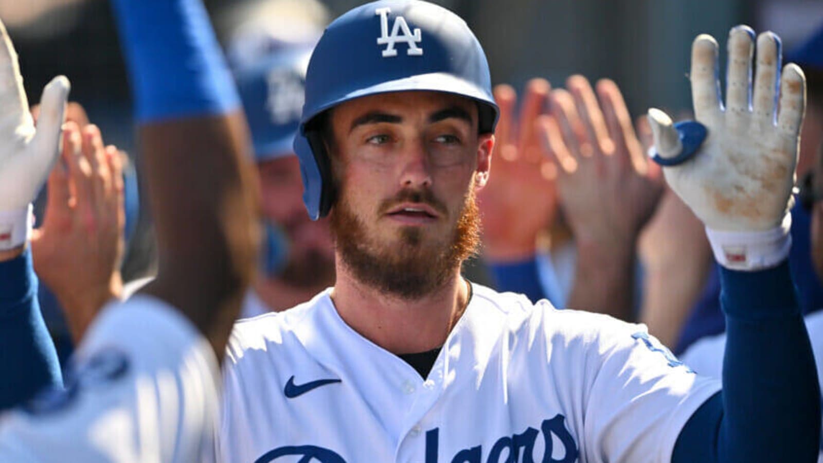 Cody Bellinger's Pro Photos