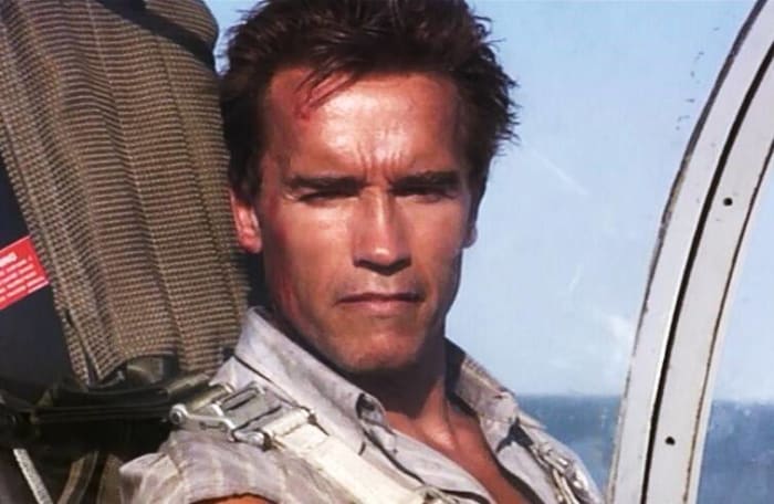 Harry Tasker ('True Lies')