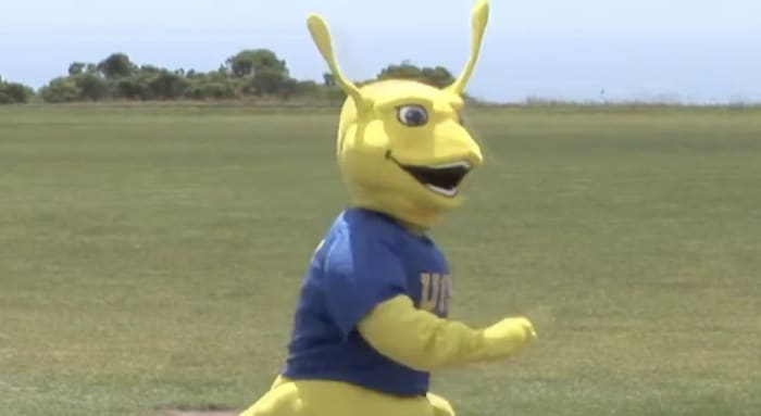 Sammy the Banana Slug, University of California Santa Cruz