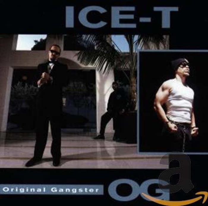 "O.G. Original Gangster," Ice-T