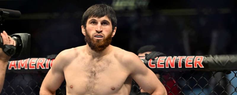 UFC 308 Preview and Prediction: Magomed Ankalaev – Aleksandar Rakic