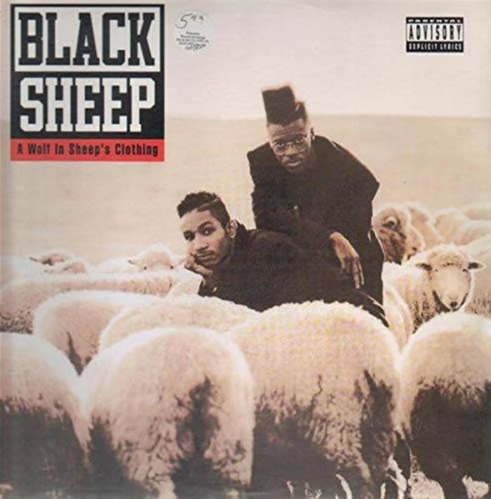 Black Sheep - "A Wolf in Sheep's Clothing"