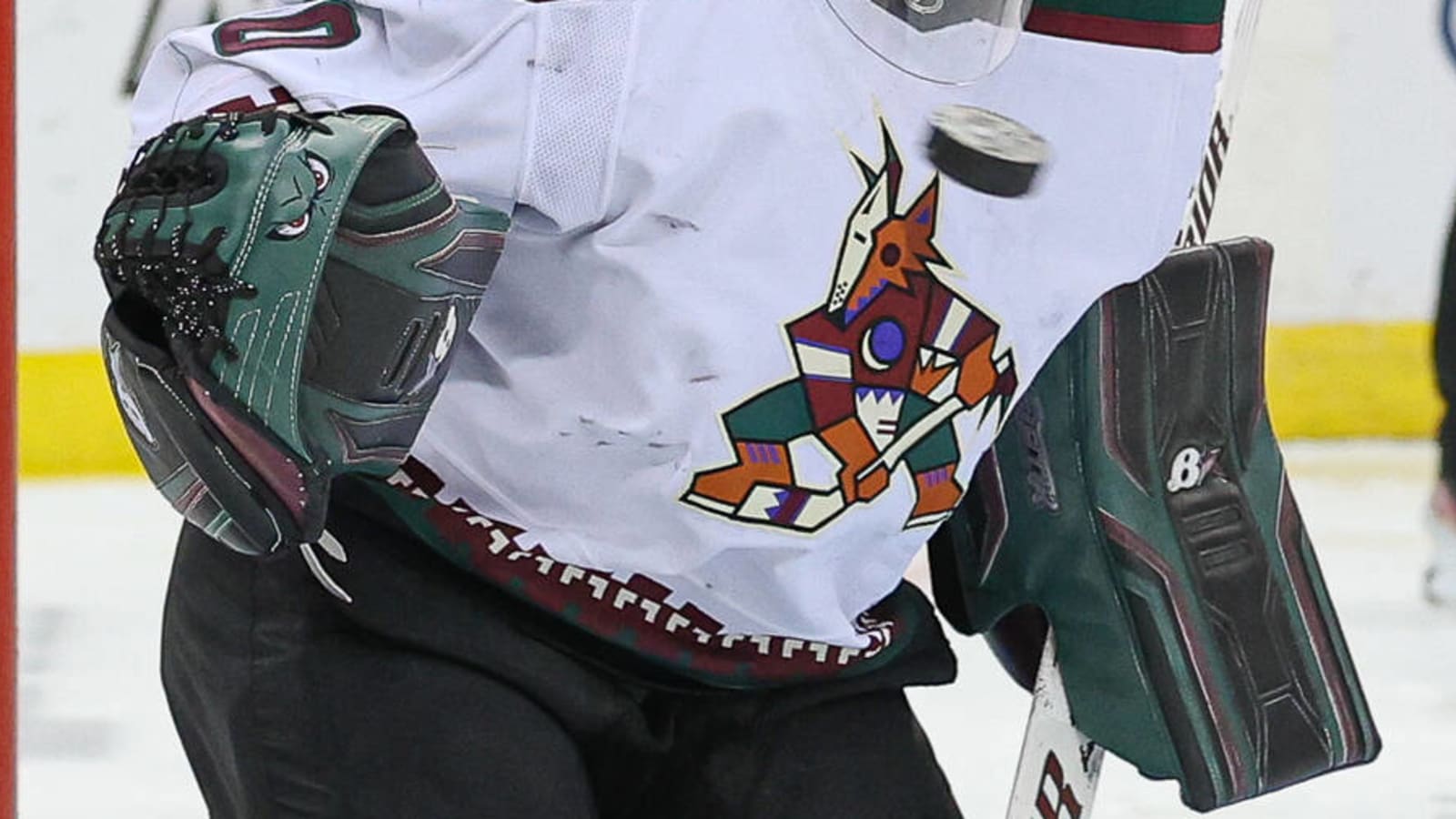 Coyotes Have Goaltending Issue to Resolve