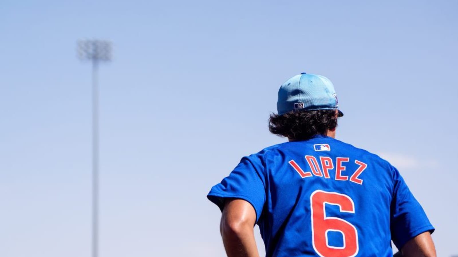 Chicago Cubs release 2024 gold glove finalist
