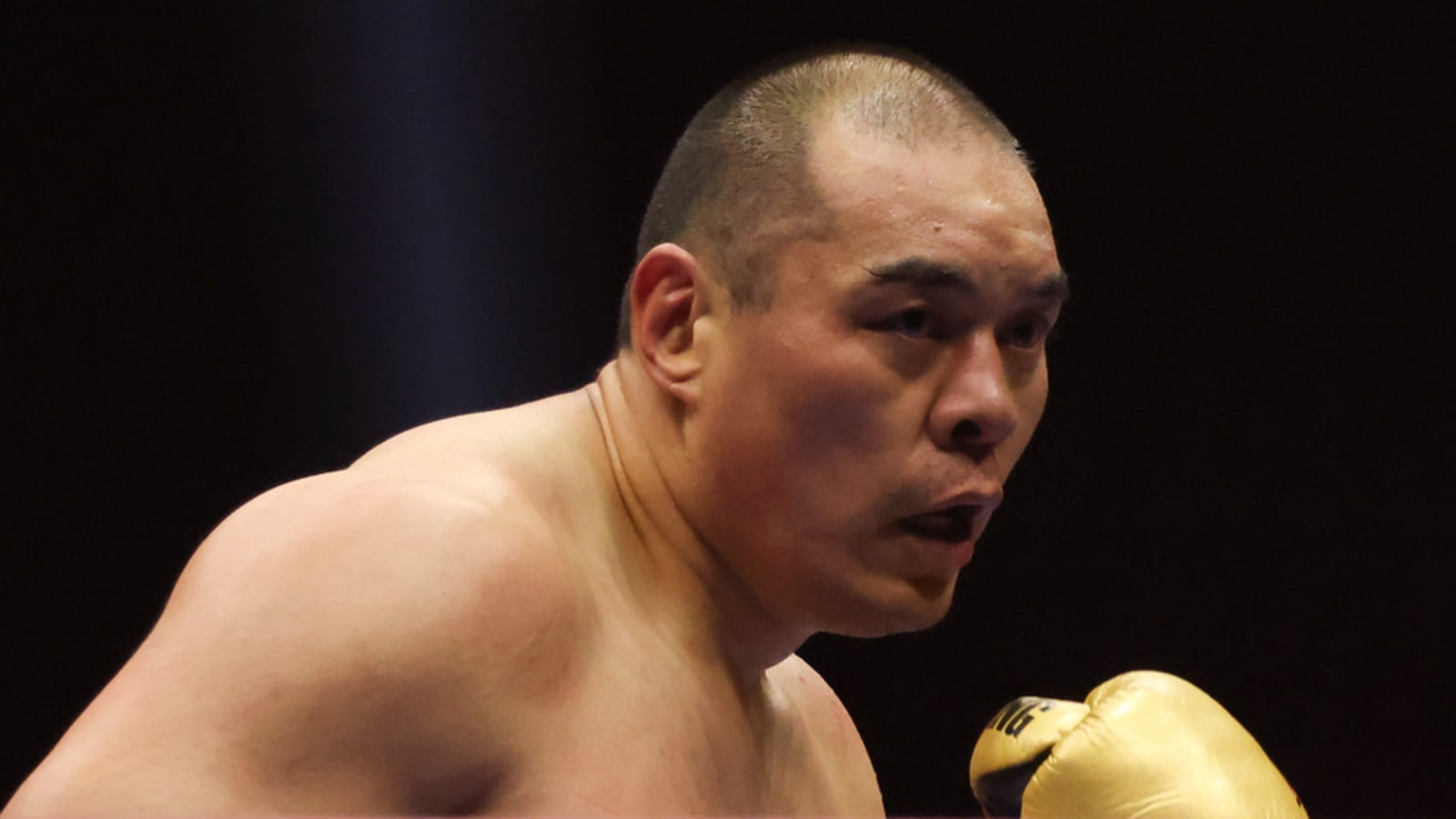 Zhilei Zhang Vs Martin Bakole?