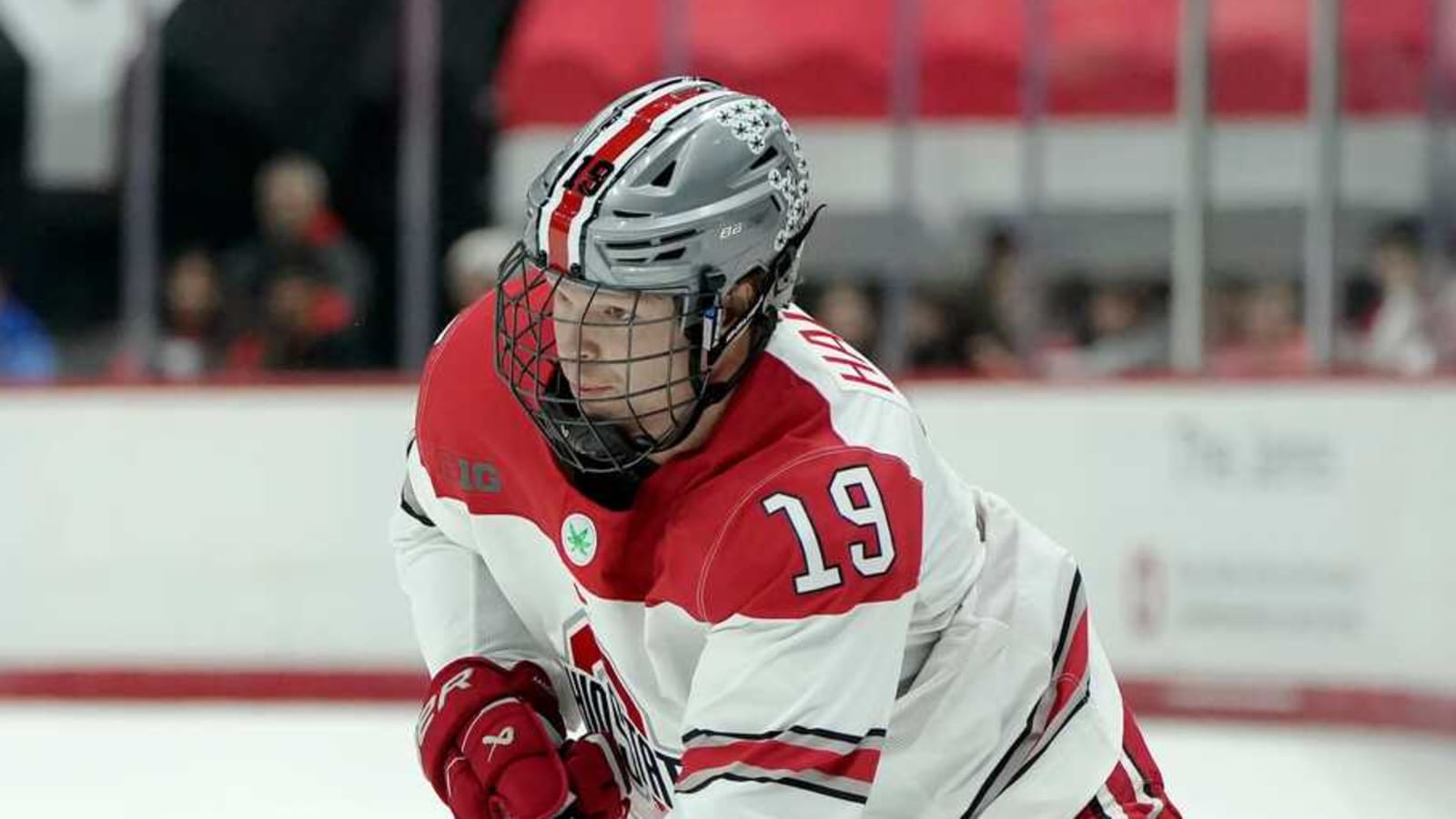 Senators recall Stephen Halliday