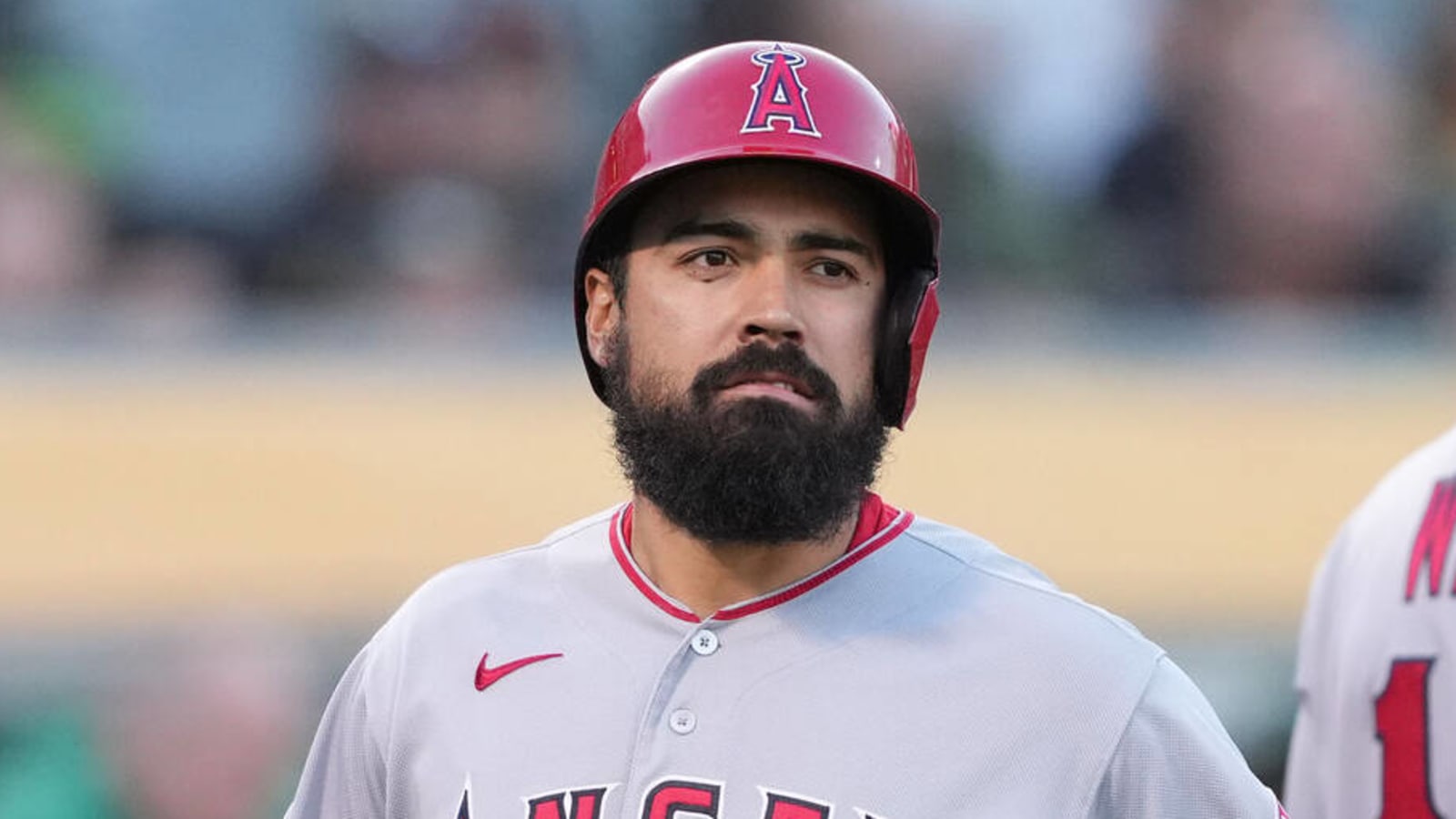 Angels place Anthony Rendon on IL