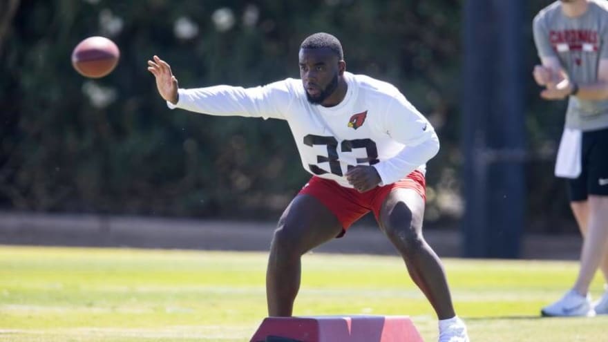 Cardinals Have &#39;Sleeper&#39; in Rookie RB