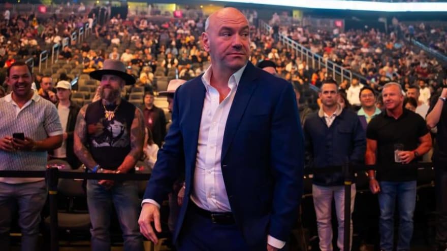Dana White Receives Plea from Former UFC KO Artist for One More Fight