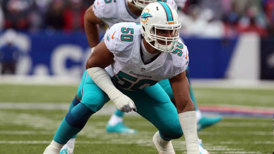 Number 50 and the Three Who Wore It Best for the Dolphins