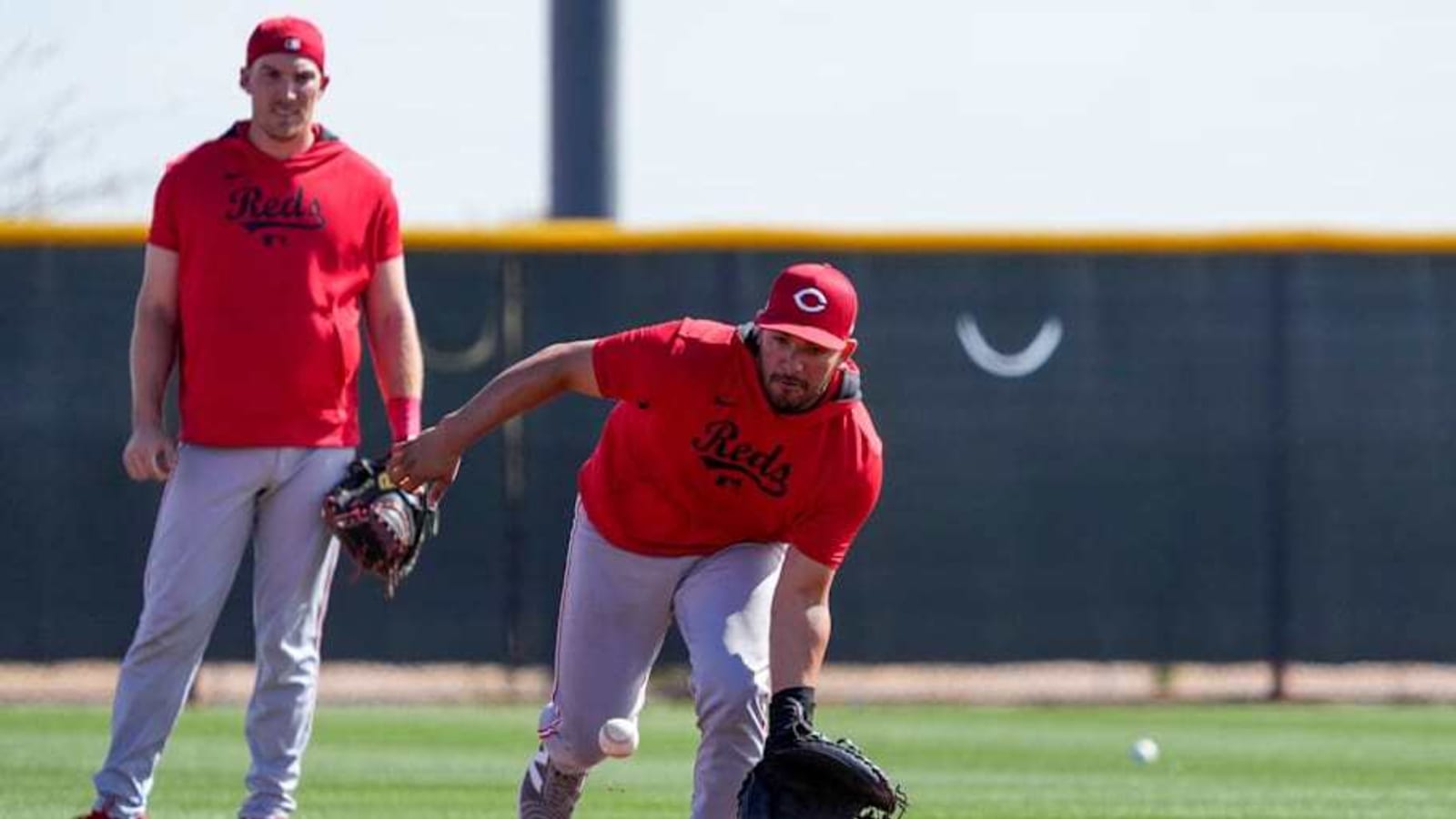 Cincinnati Reds Signing Catcher Jose Trevino to Extension With Opening Day Looming