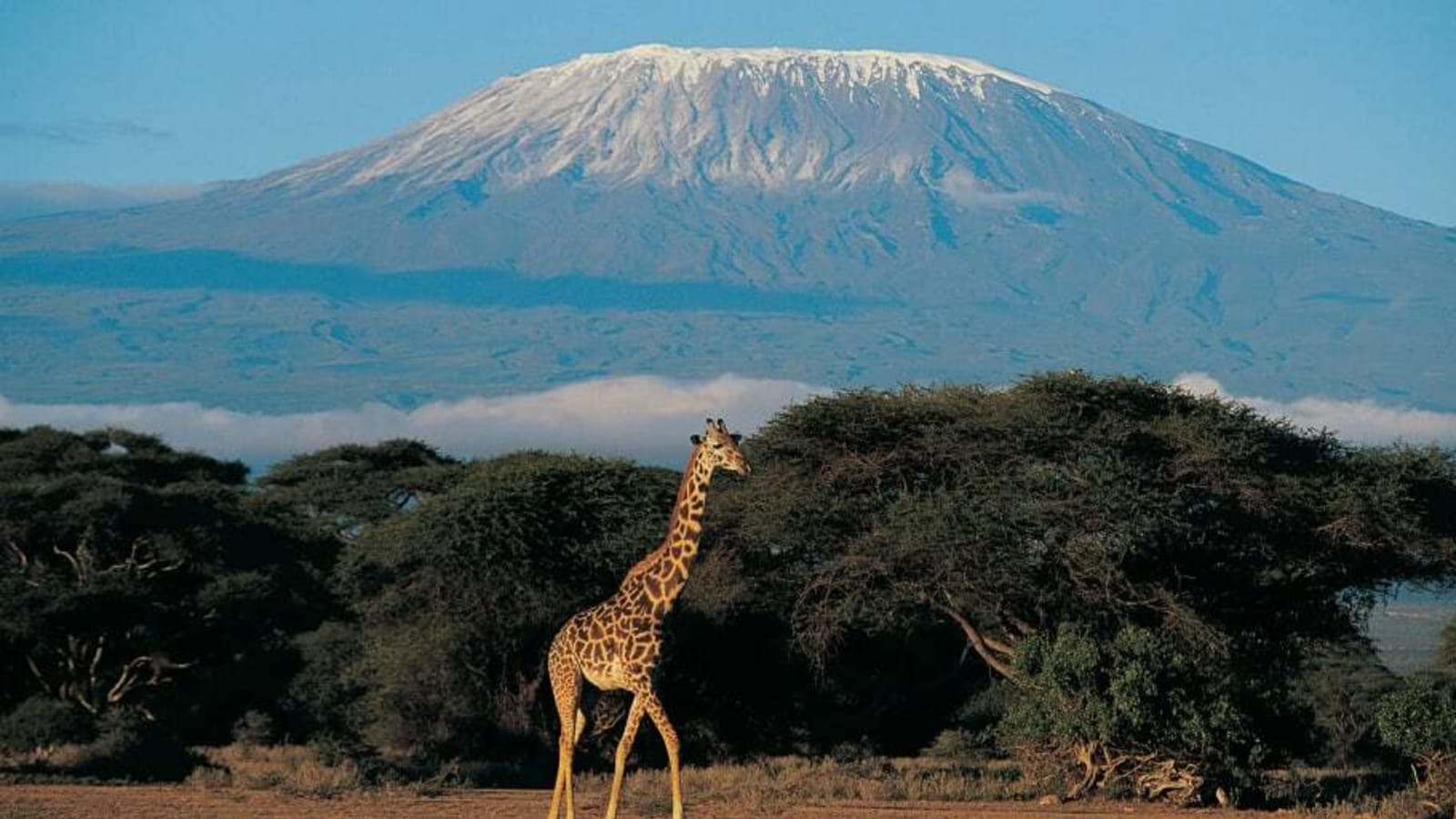 What is the Best Time of Year and  Routes When Planning to Climb Mt. Kilimanjaro?