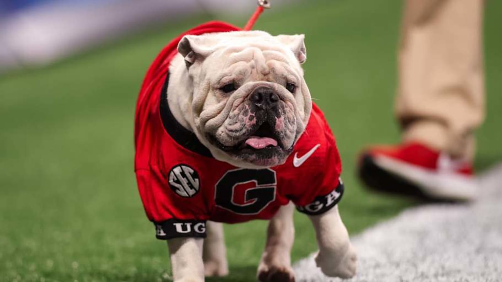 Georgia Football Releases Initial Injury Report Ahead of Mississippi State Game