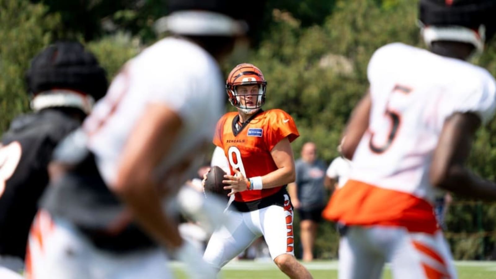 Cincinnati Bengals Make Change to Practice Schedule For Fans Hoping to Attend Training Camp