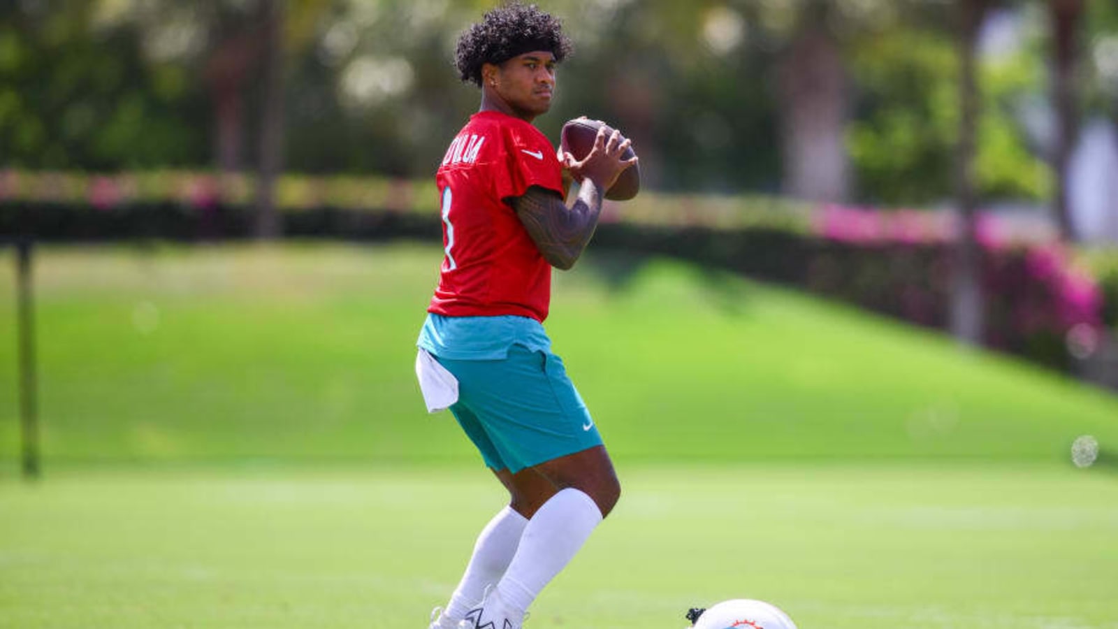 Dolphins Position Outlook: Quarterbacks