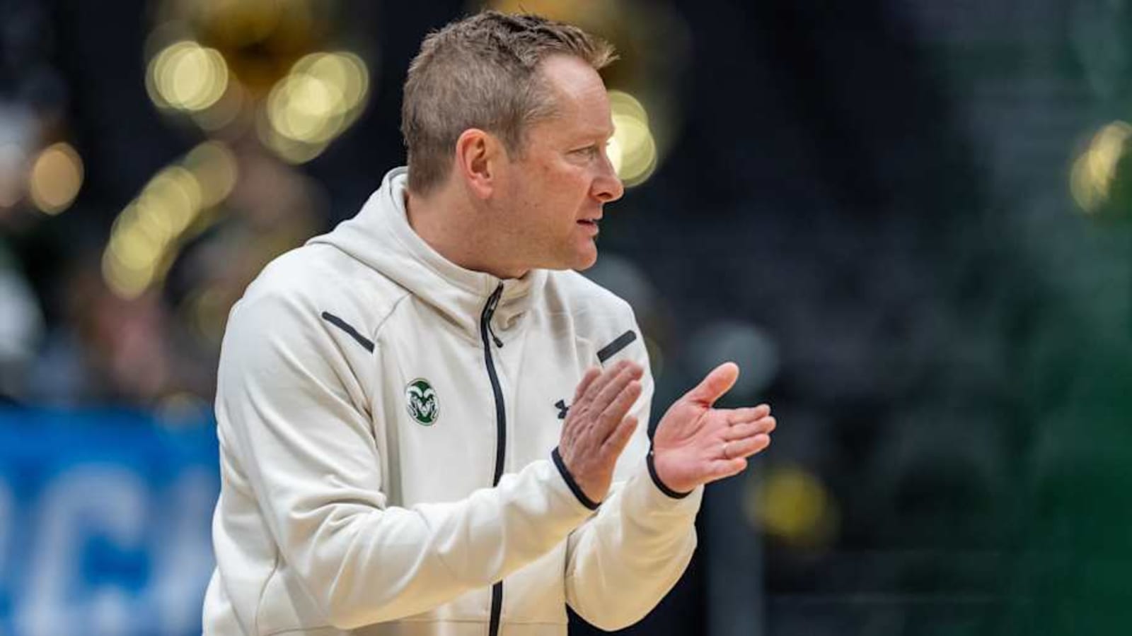 Reports: Niko Medved hired as new Minnesota Gophers head coach