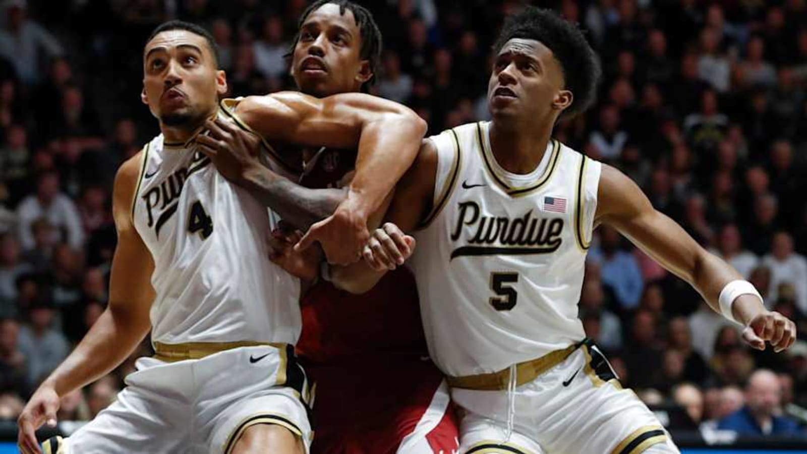 Career Nights From Trey Kaufman-Renn, Myles Colvin Lift Purdue to Feast Week Title