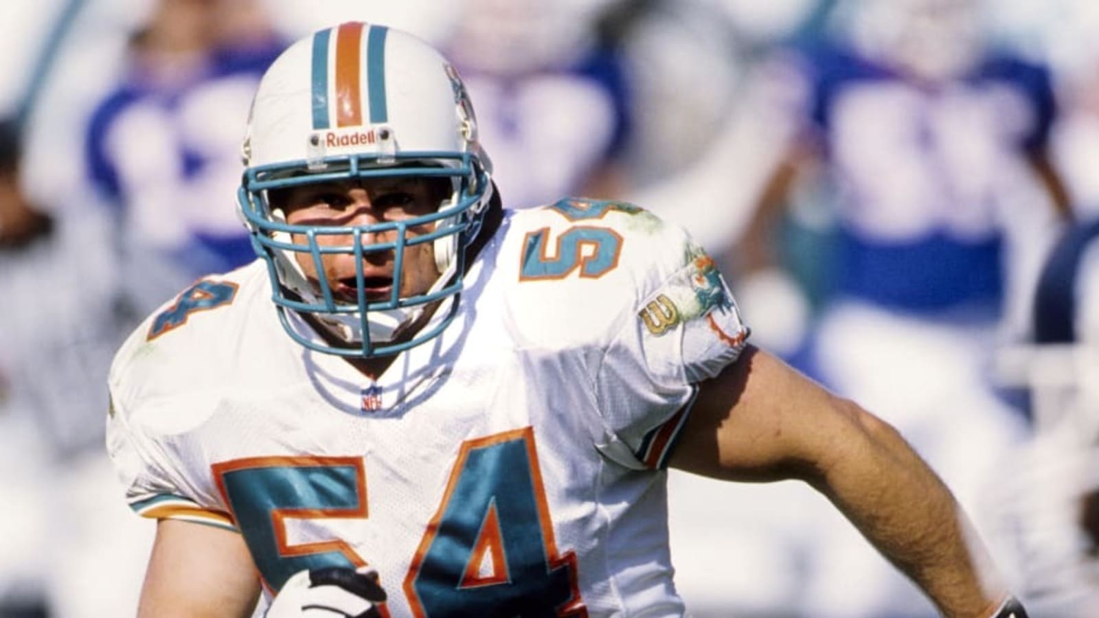 Number 54 and the Three Who Wore It Best for the Dolphins