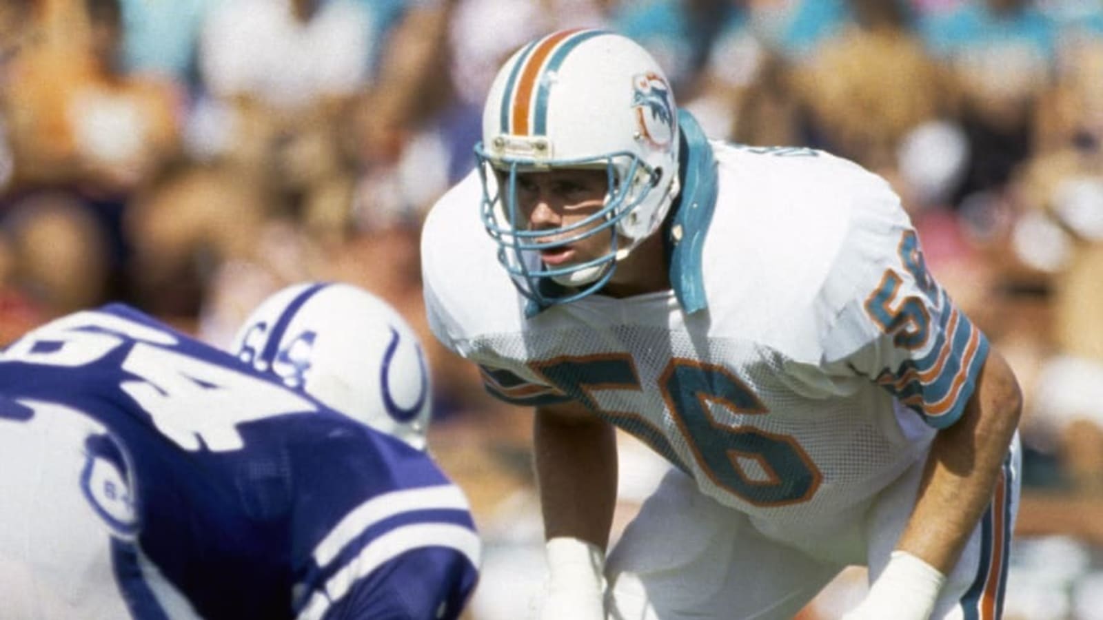 Number 56 and the Three Who Wore It Best for the Dolphins