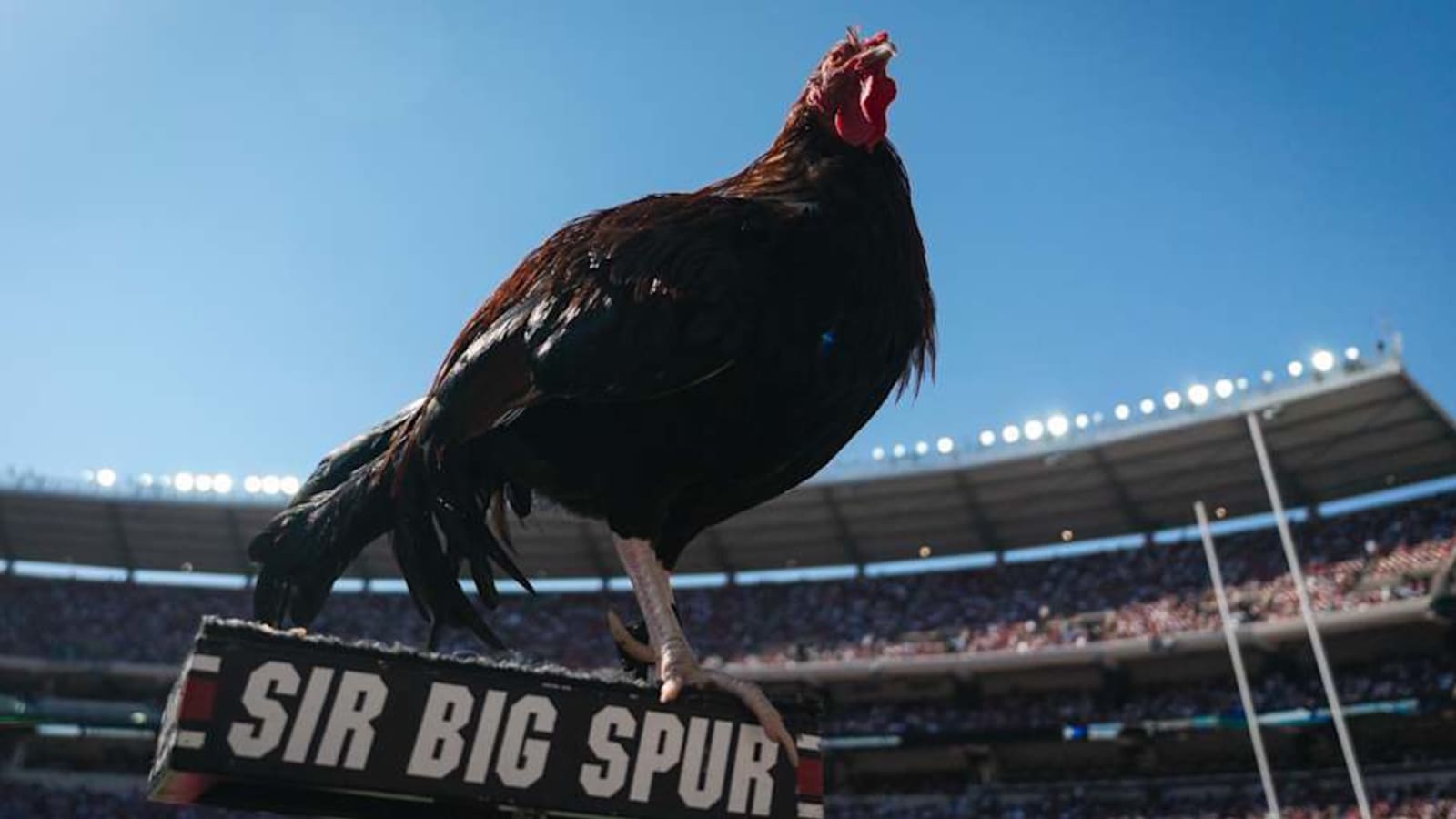 South Carolina vs Oklahoma: Live Scores and Updates