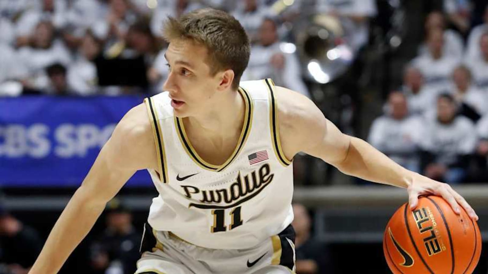 Purdue Releases Availability Report vs. Yale
