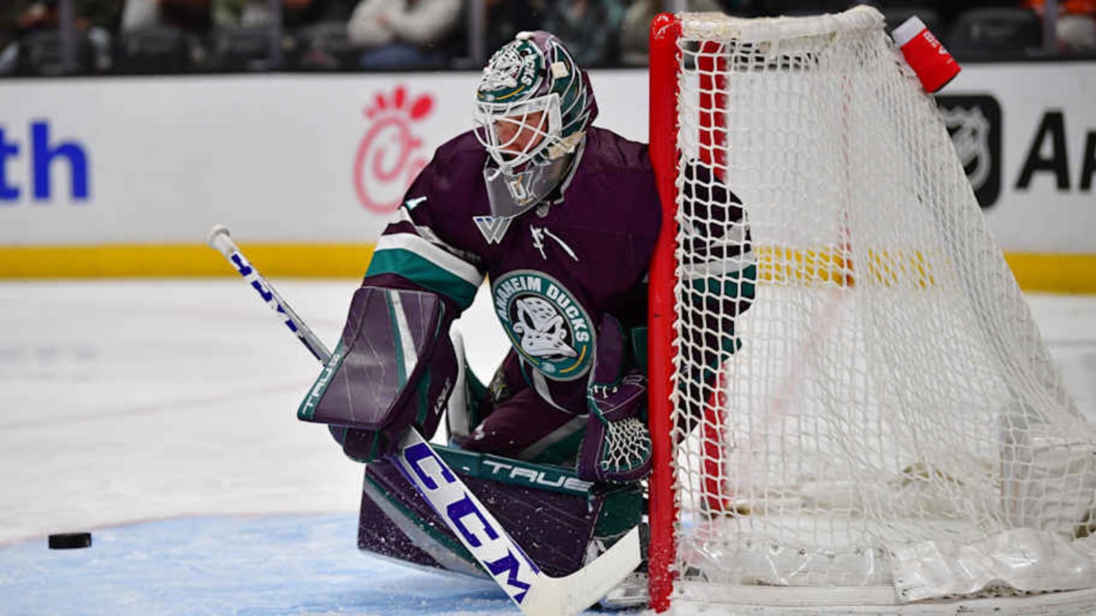 Injuries Have Redefined Ducks Goalie Situation