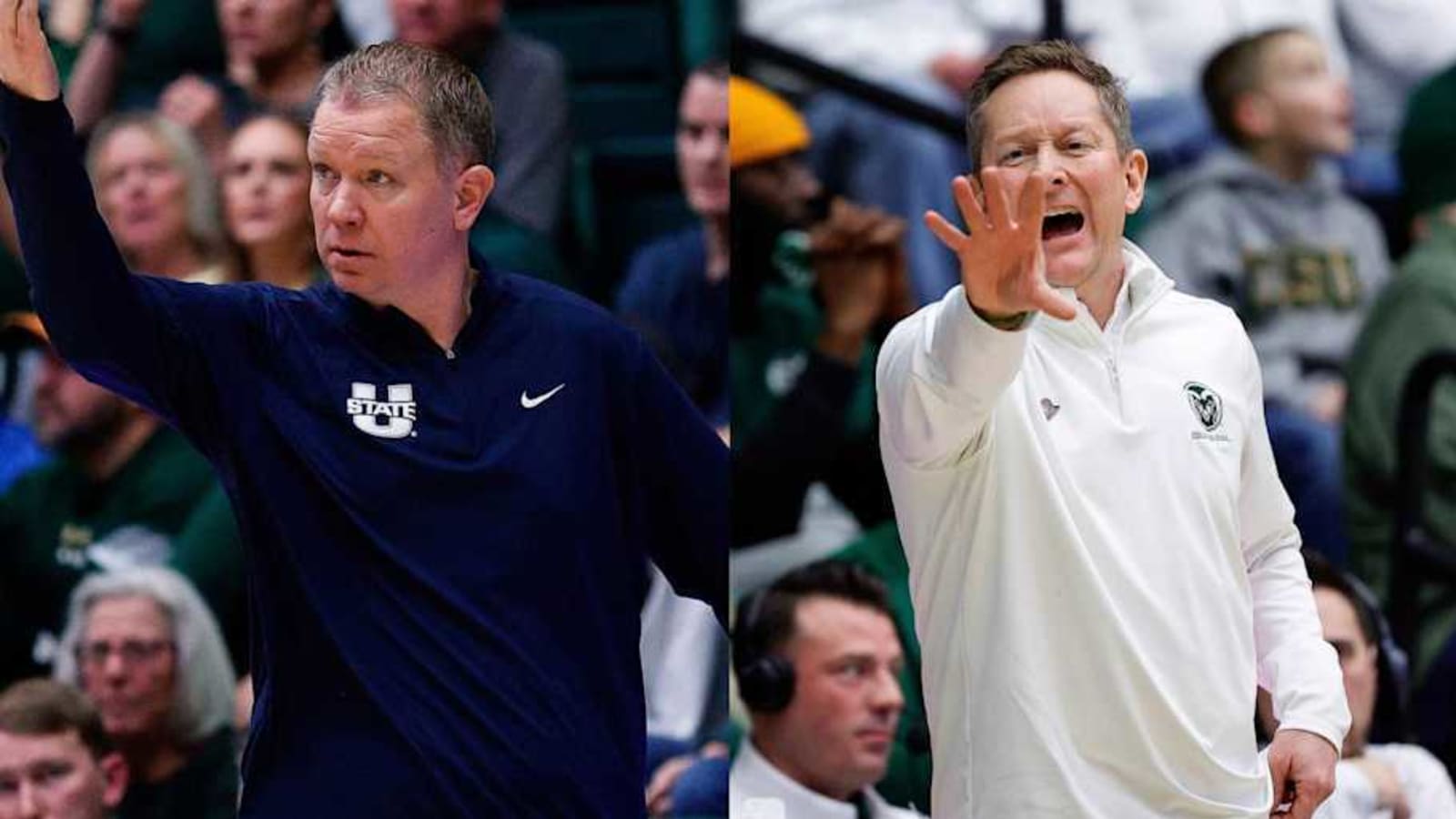 Jerrod Calhoun or Niko Medved? Who is the Better Fit for West Virginia?