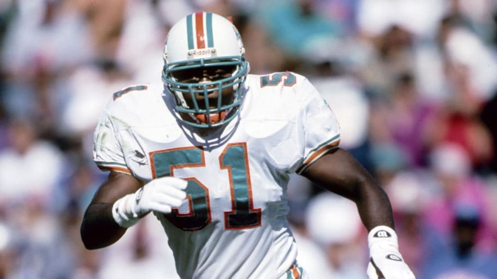 Number 51 and the Three Who Wore It Best for the Dolphins