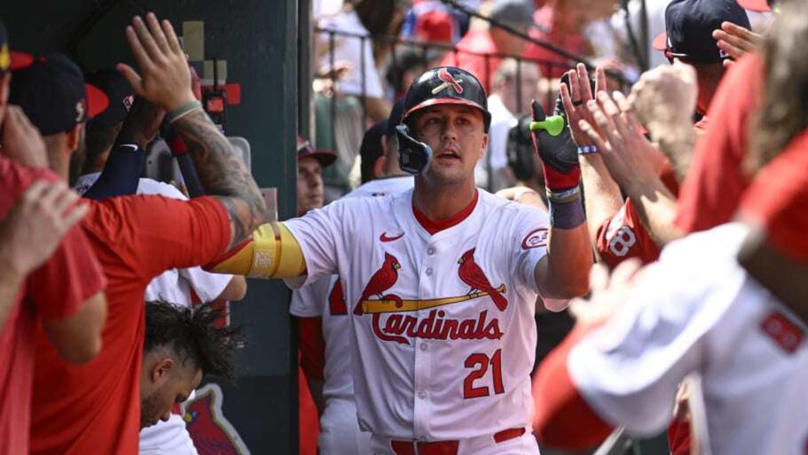 Cardinals Playoff Odds Rapidly Declining As Club Desperately Searches For Revival