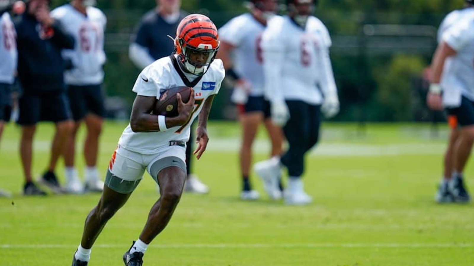 Titans Sign 12 Players to Futures Contracts