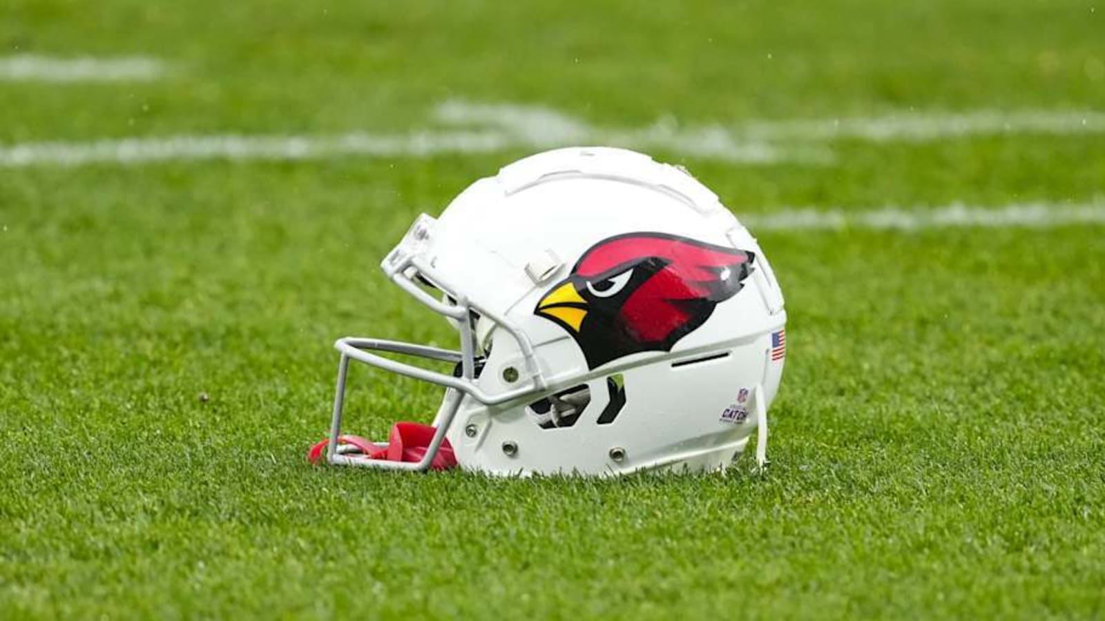 Cardinals Make Roster Moves After Week 8 Win