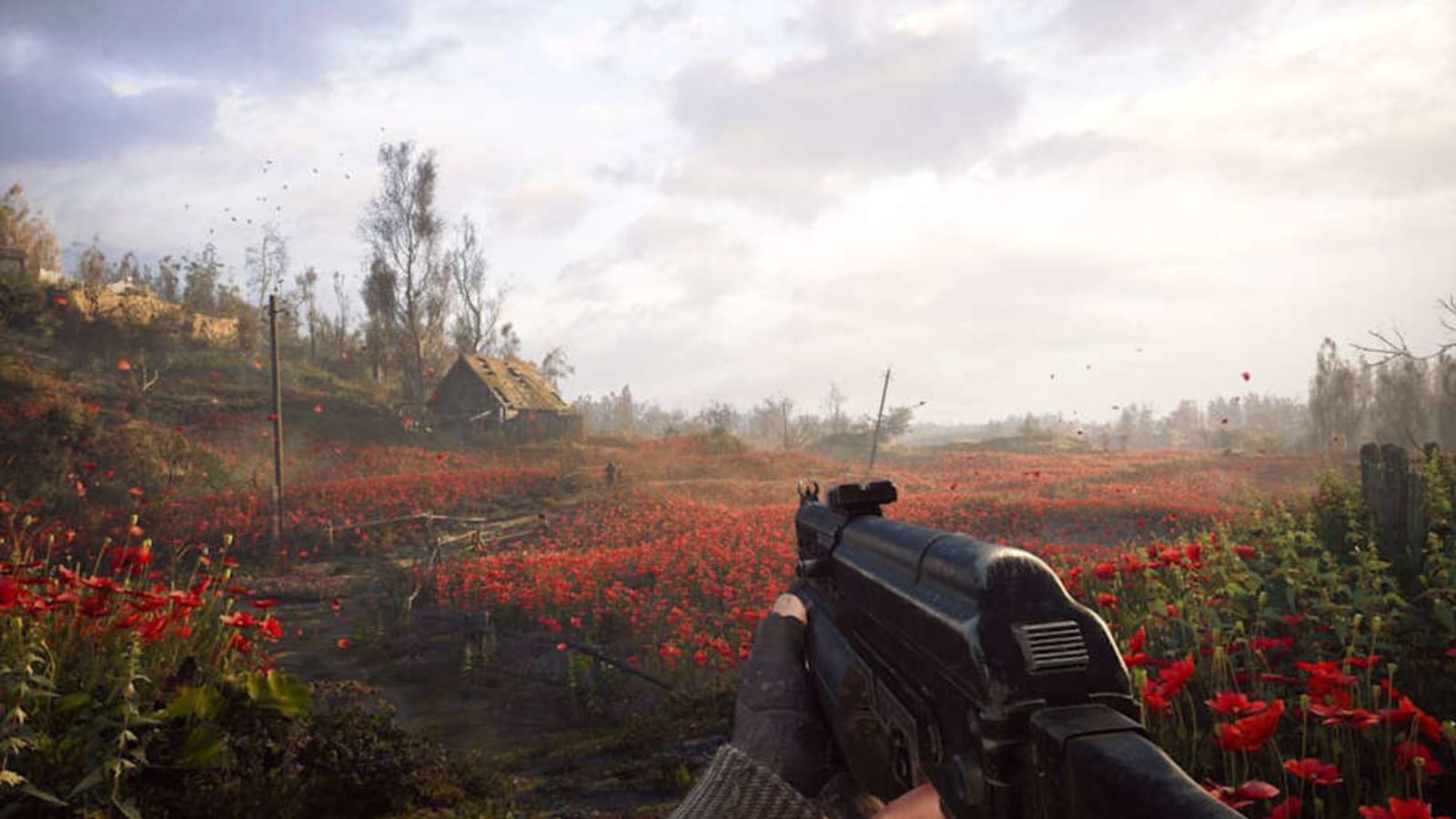Stalker 2: The Poppy Field mission guide