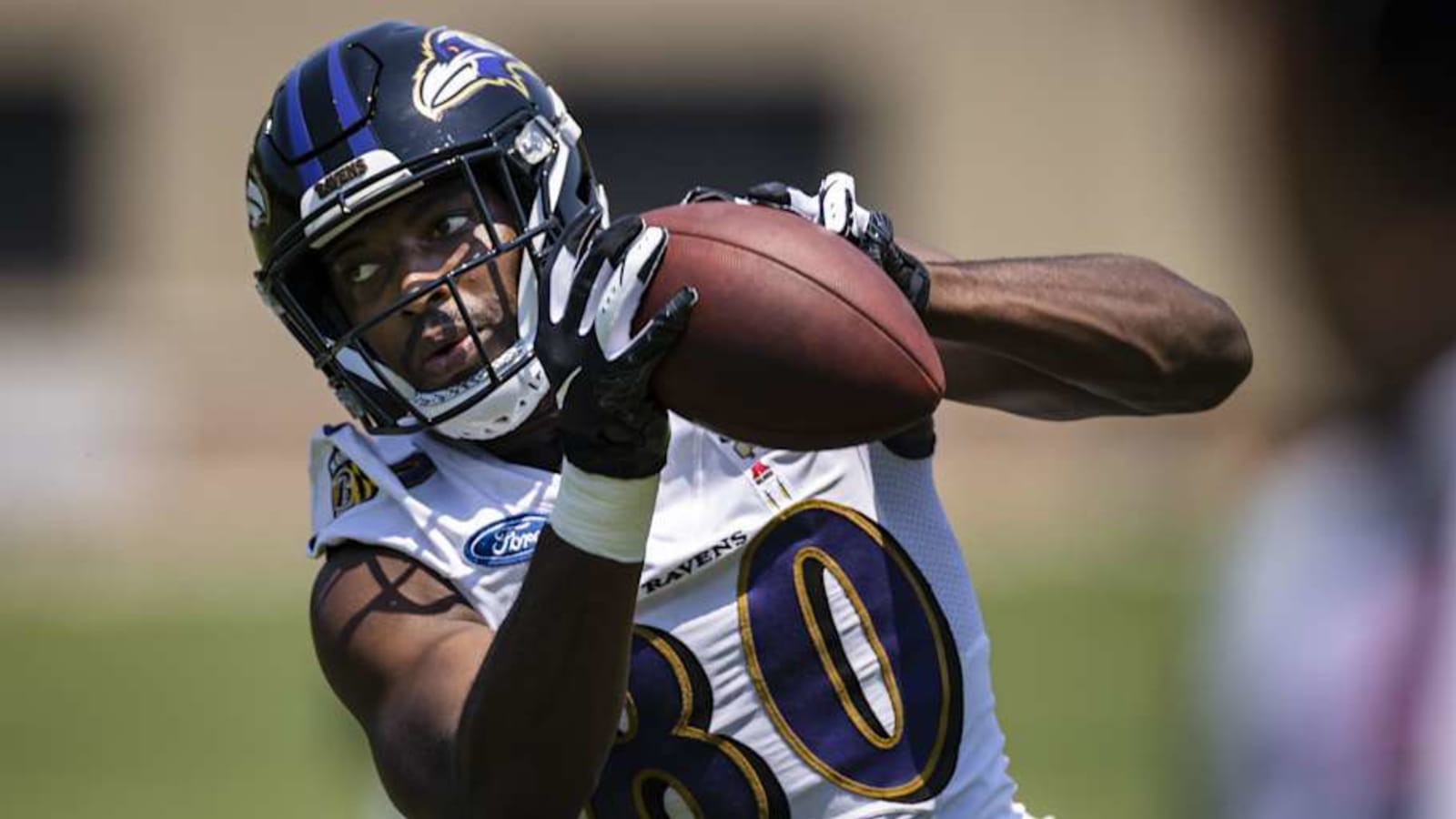 Bears Sign Two Former Ravens