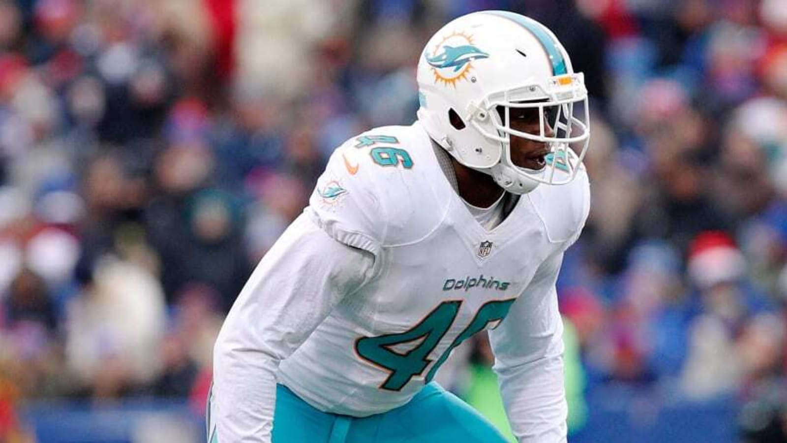 Number 46 and the Three Dolphins Who Wore It Best