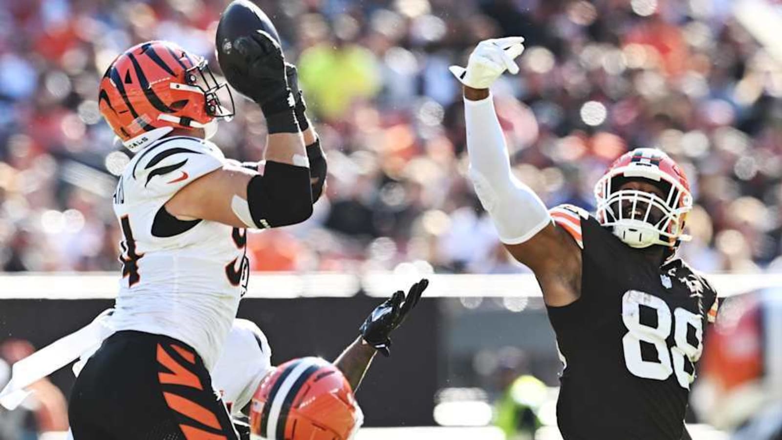 Stat of the Jay: Bengals Defense Posts 4-Pack of Stats Only Seen Once Before In Last Quarter-Century