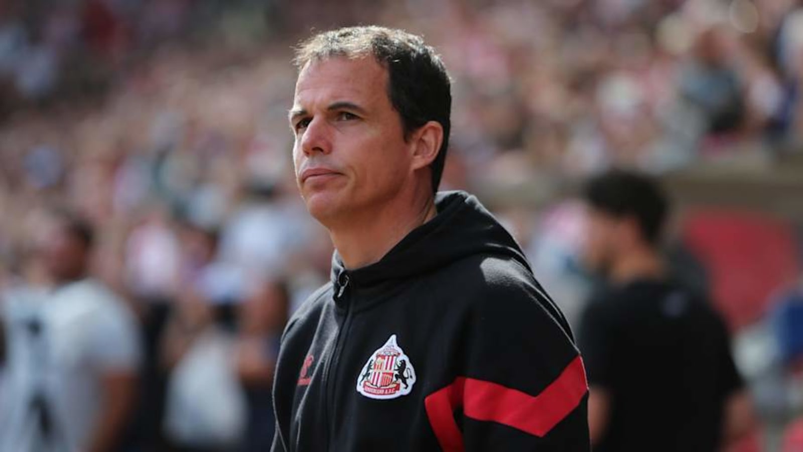 &#39;Specialist&#39; Regis Le Bris described as perfect fit for Sunderland