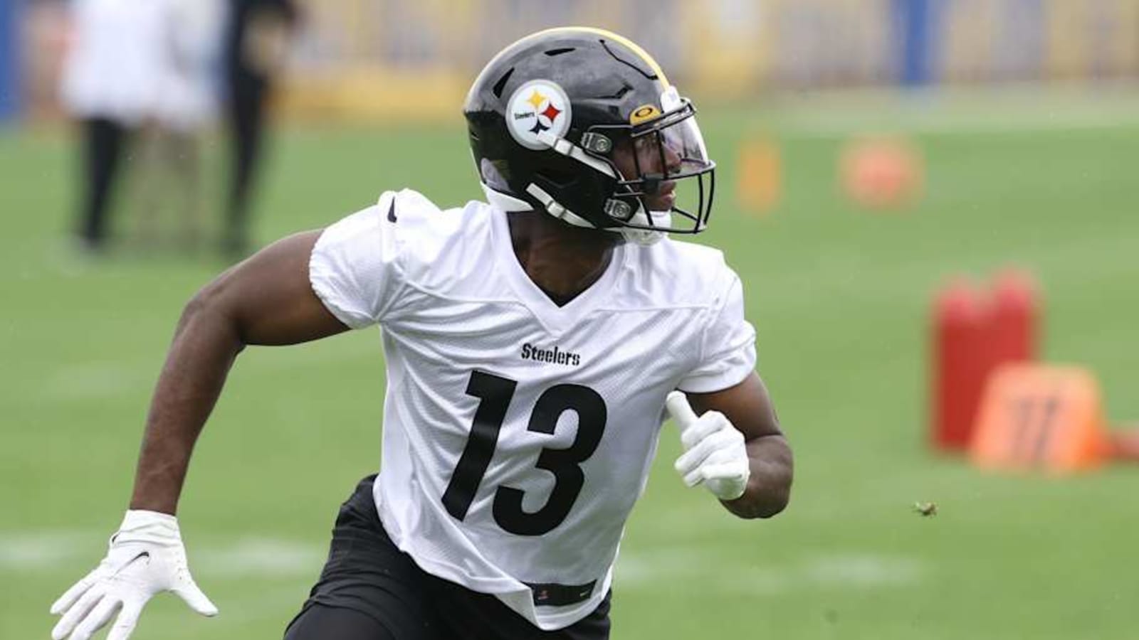 Bears Sign Former Steelers WR