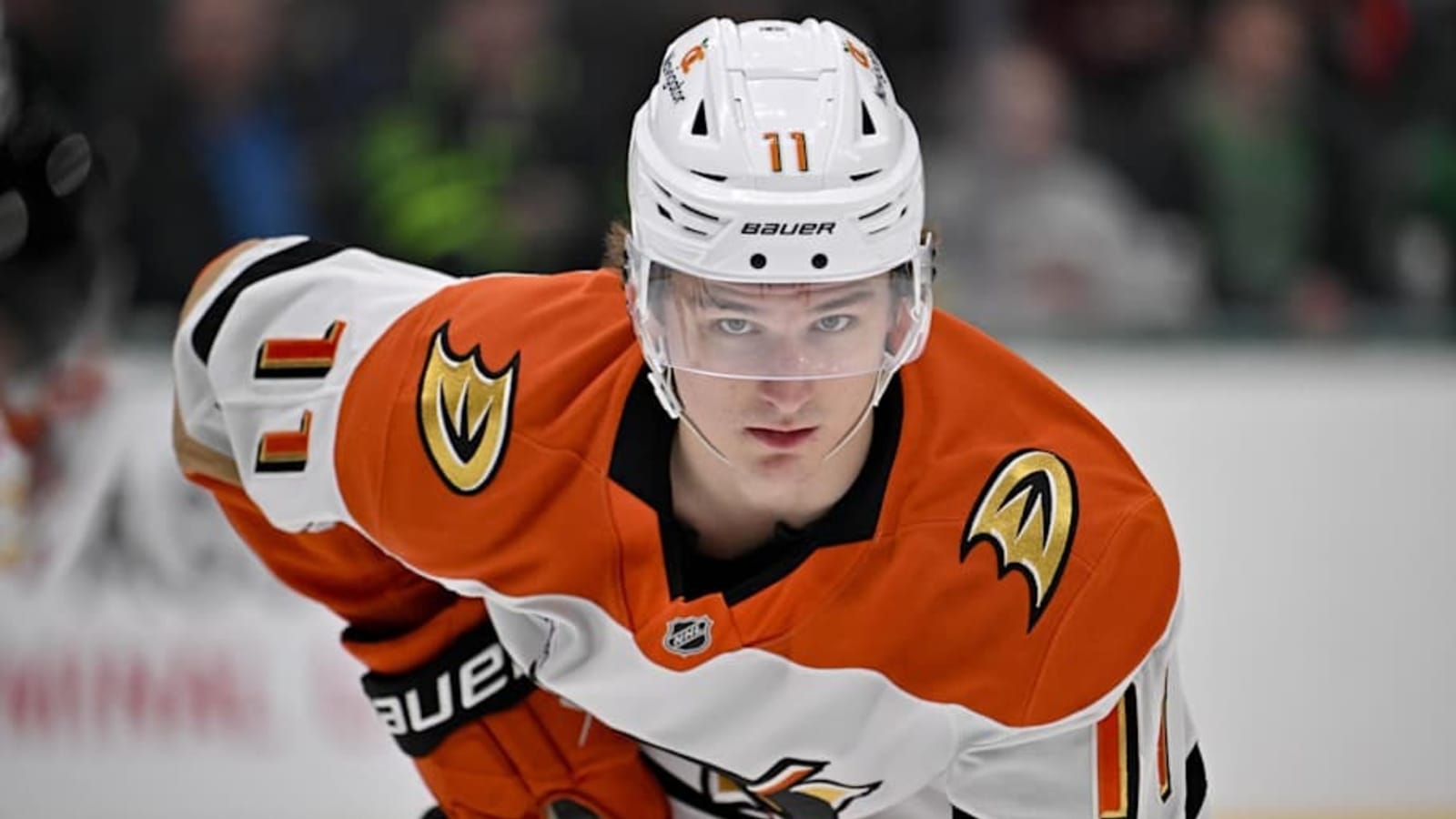 Ducks Playoff Odds Drop to Zero