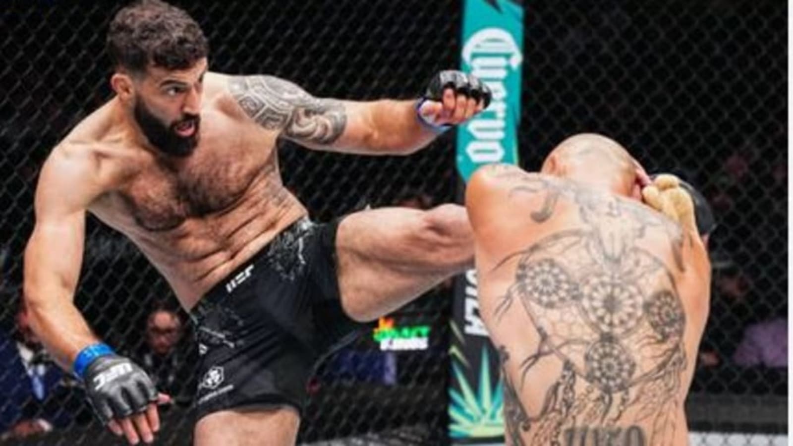 Roman Dolidze Moves Up Weight Class–and Wins at UFC 303