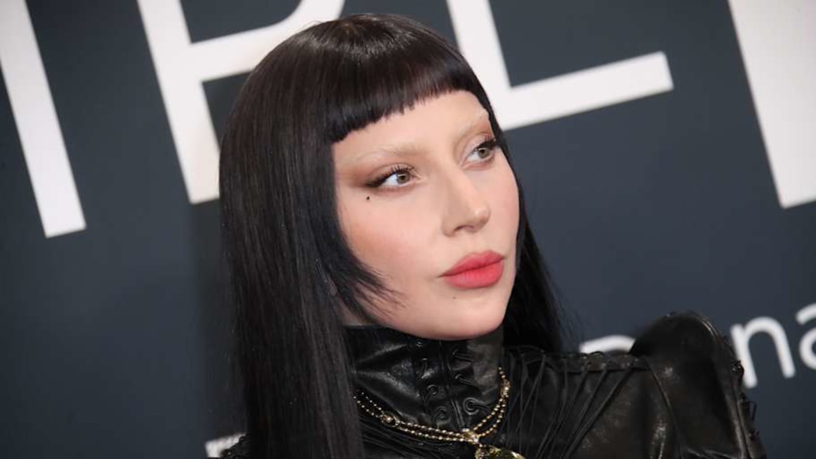 Megastar Lady Gaga Sued for Millions by Surf Brand over Logo Infringement