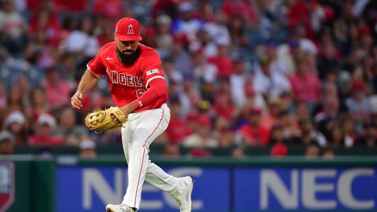Angels May Already Have Their Anthony Rendon Replacement in the Organization