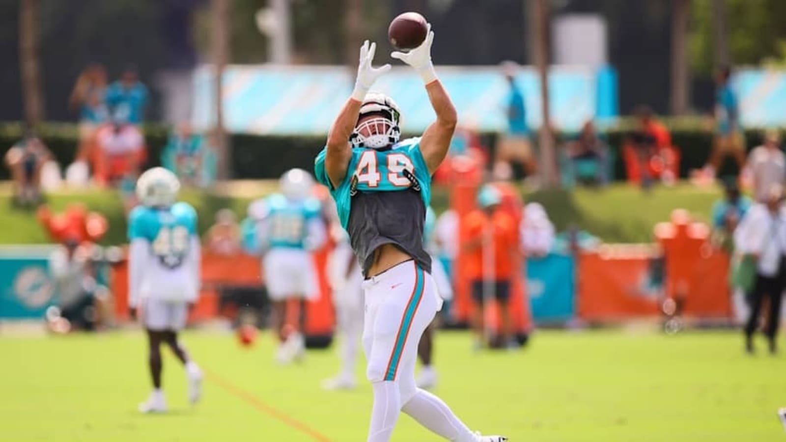 Dolphins Make Practice Squad Moves