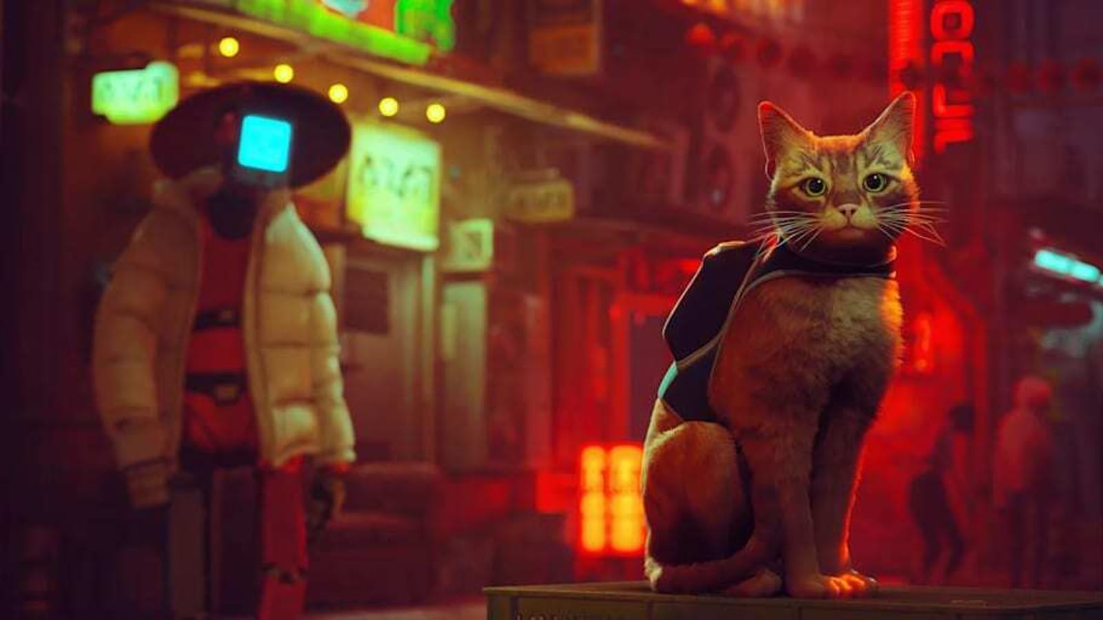Stray for Nintendo Switch review: portable catty hijinks