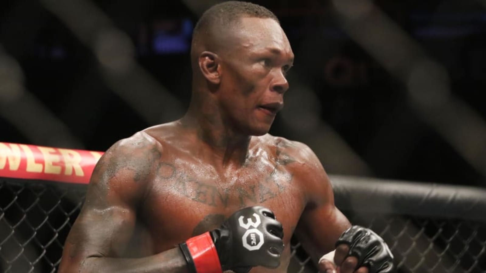 UFC 305 Free Live MMA Stream: Adesanya vs. Du Plessis (Joe Rogan Fight Companion)