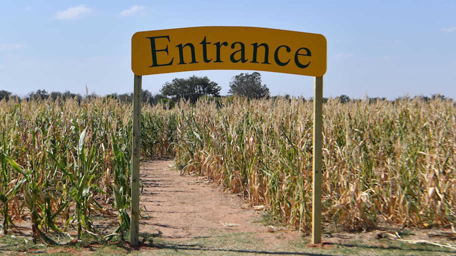 Explore the Best Halloween Corn Mazes Across the U.S. This Spooky Season