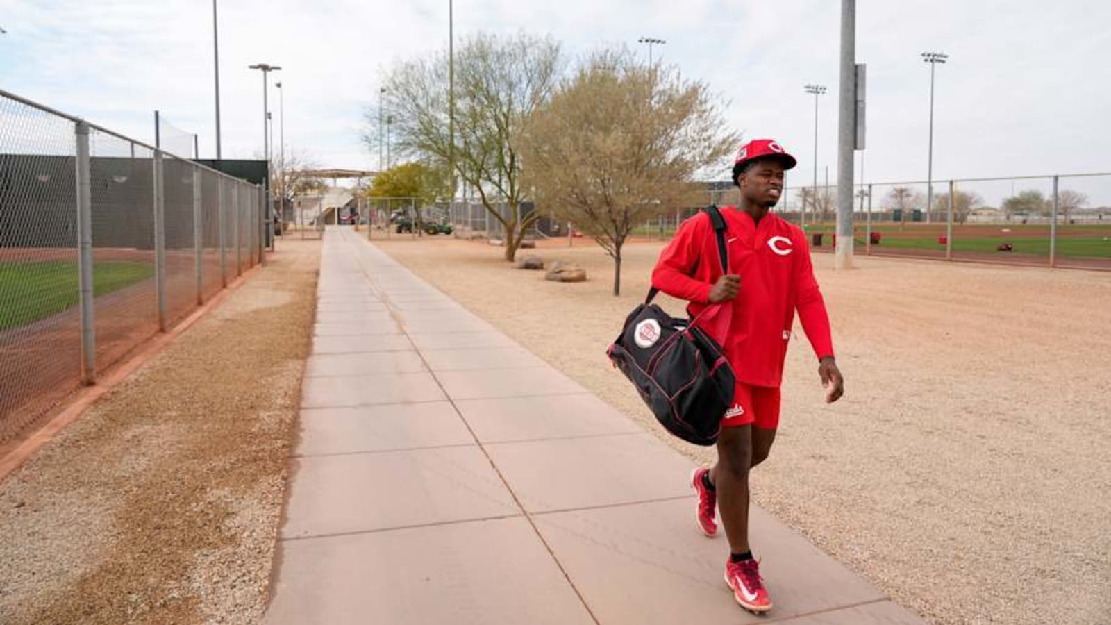 Reds Ranked 11th Best Farm System in Major League Baseball