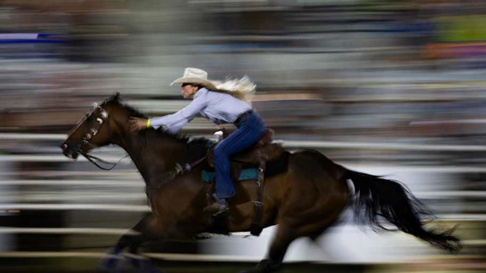 A New Season and New Stars Are Born: 2025 Barrel Futurity Horses To Watch