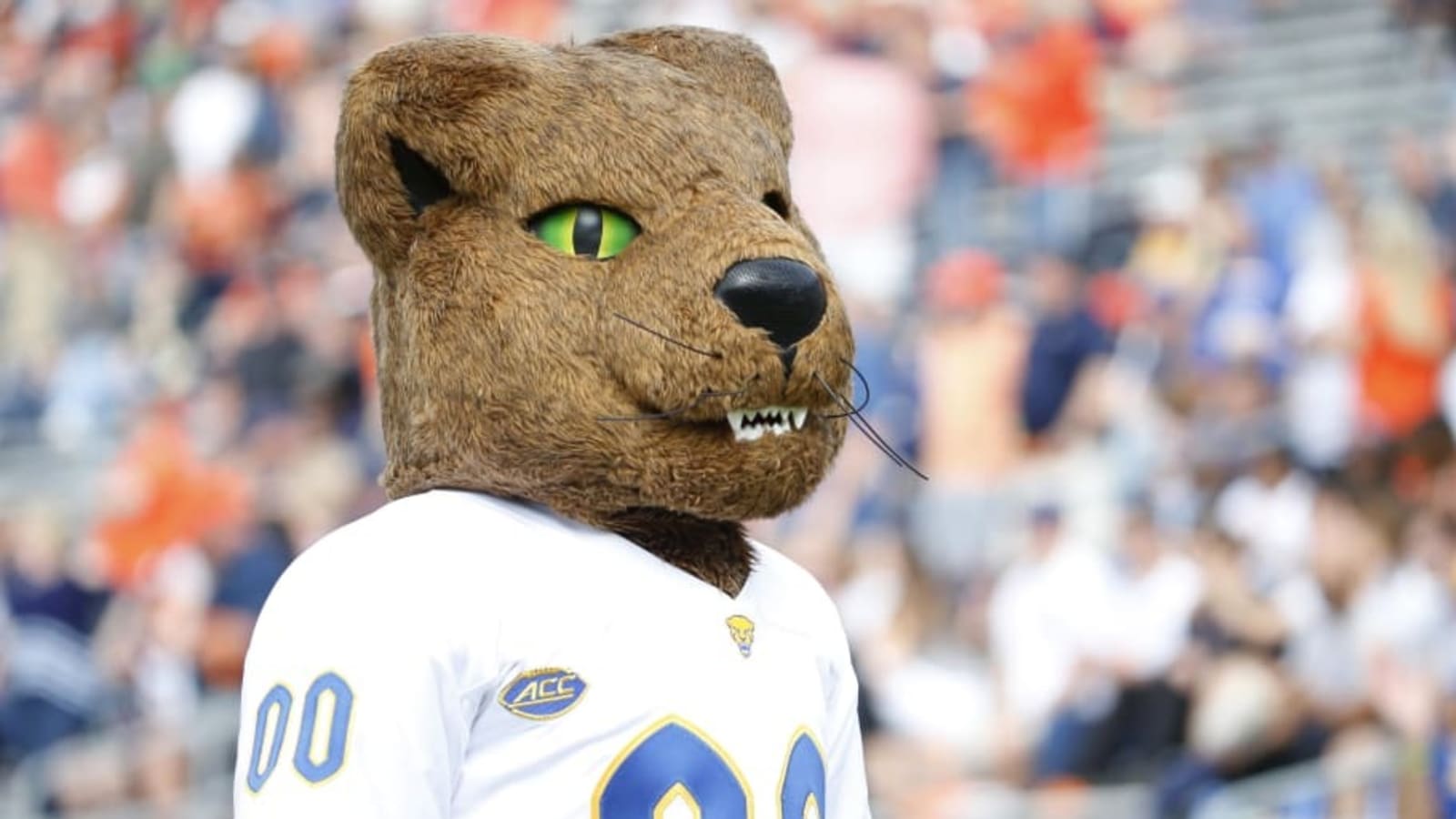 Report: Pitt Athletics Increasing Scholarship Numbers