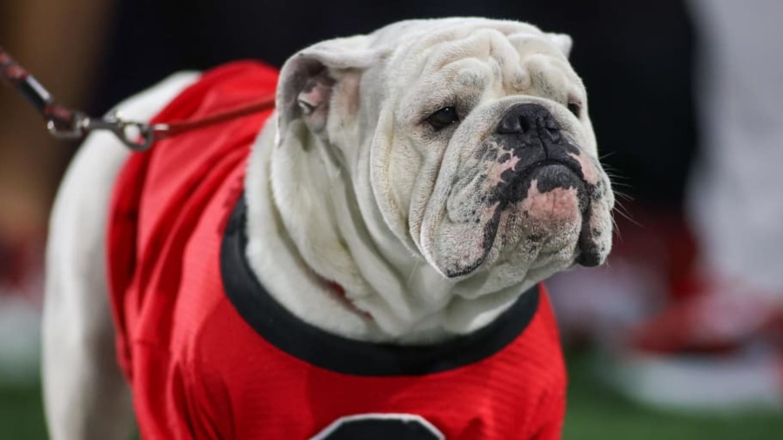 Georgia Bulldog Dillon Bell Suffers Injury Against Clemson